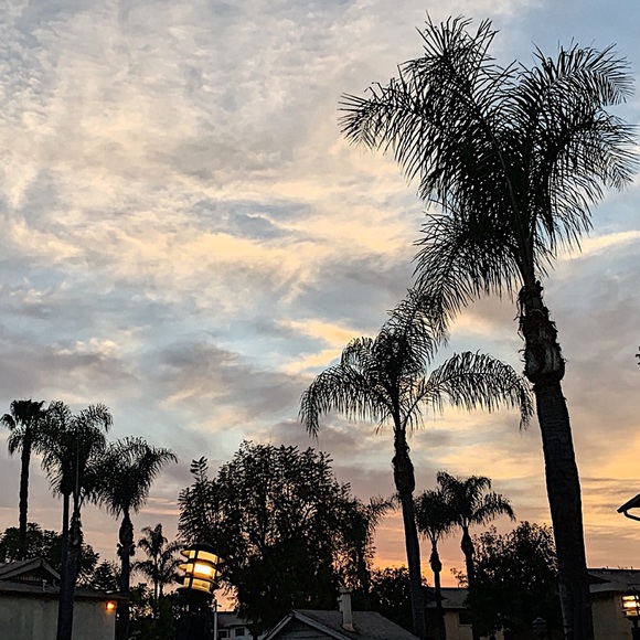 My Info Here. Closet Info’s Next Door ➔ - Picture 10 of 12